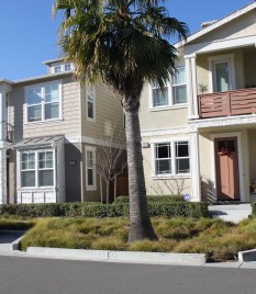 Curb cuts channel runoff from street into landscaping