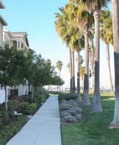 Swale next to sidewalk at Grand Marina Village