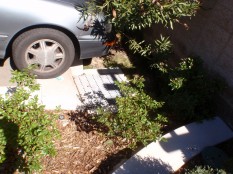 At Rose Garden, placement of some drains defeats swale