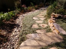 Cobbles overlie perforated pipe that lets runoff soak in.