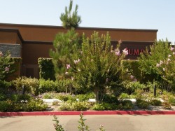 bgfremontchainmallclaimjumper-250x187 Fremont: Pacific Commons retail area