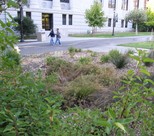 UC Berkeley Campus,