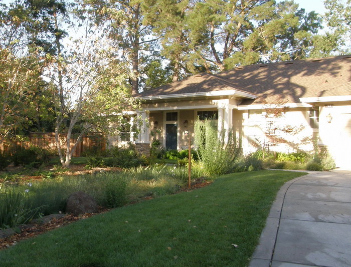 Blue Green Building Bioretention Rain Gardens Blue Green