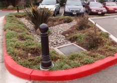 Runoff from large parking lot flows to swales with varied vegetation