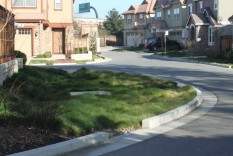 Street end used for bioretention, Paulson Lane, Walnut Creek