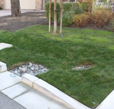 Curb cut and pipe from house channel runoff into swale