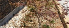 bgnpchurchroofdrainlandscaping2-235x95 Walnut Creek: North Creek Church