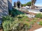 Colorful Bio-Rad rain garden, Richmond