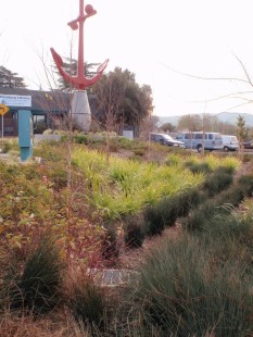 Parking lot runoff flows to colorful landscaping.