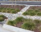 San Leandro Senior Center parking-lot swales use cobbles in design