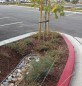 San Leandro Senior Center parking-lot swale with cobbles