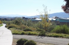 Eleanor Murray Fallon School is edged by a large swale.