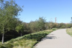 Swale & bike trail at Eleanor Murray Fallon School