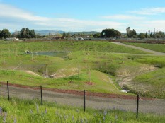 Fenced water-quality basin and trail