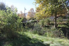 Bike trail and swale at Ted Fairfield Park