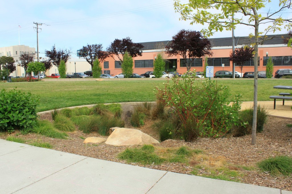 Bioretention rain garden, Doyle Hollis Park, Emeryville