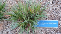 Plaques and signs in park explain water-saving and pollution-preventing features.