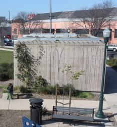 Green roof on restroom, Doyle Hollis Park, Emeryville