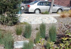 Street runoff flows to rain garden through mesh-topped channels in sidewalk and pipes in concrete apron