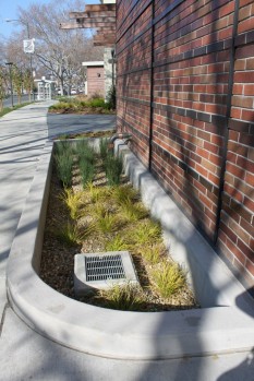 Swale-like planter with raised drain for for high flows