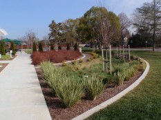 Rain garden from parking lot end, showing street and outdoor lunch area