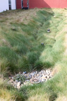 Plumbing in grassy bioretention area