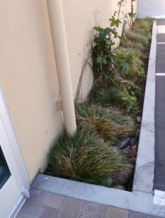 Roof leader takes runoff to narrow flow-through planter