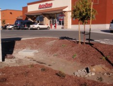 2011 construction along San Pablo shows plumbing in bioretention areas