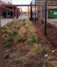 Small swale and roofed trash, San Leandro High School