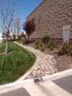 The swale treats runoff from the roof but not the driveway.