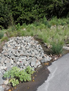 Parking and driveway runoff flow to swale behind theater